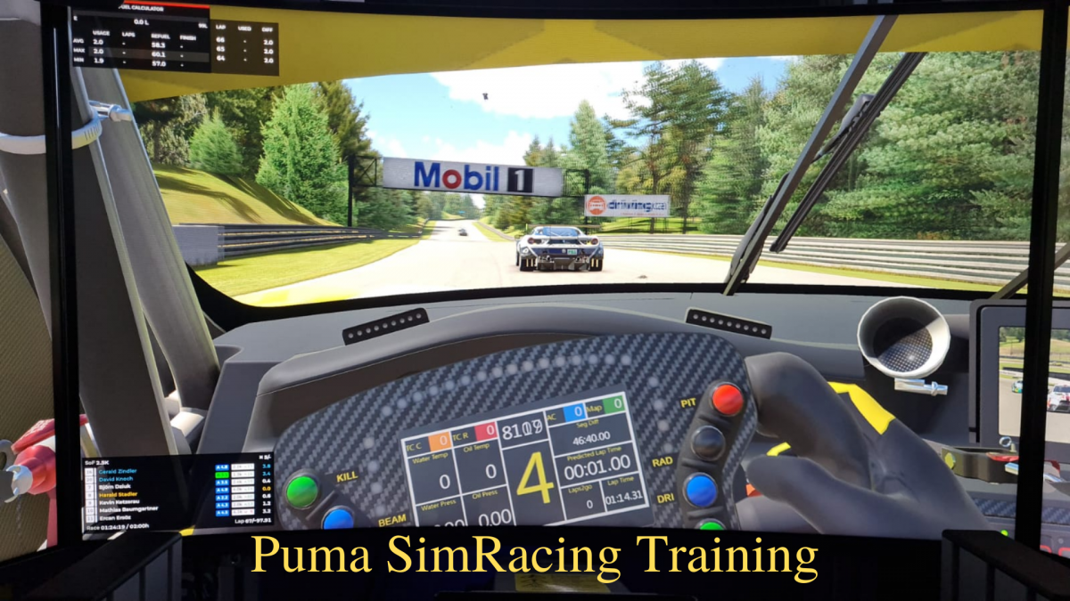 Puma SimRacing Training